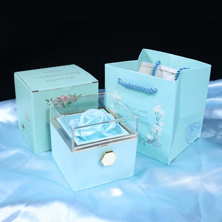 Fashion accessories - Darlisette